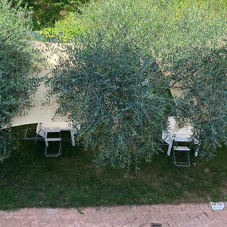 Miro' Agropoli Bed and Breakfast Εξωτερικό φωτογραφία