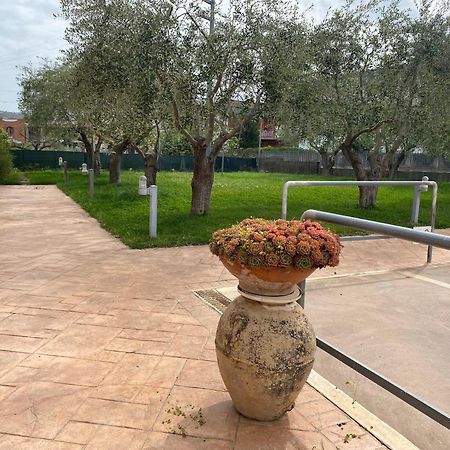Miro' Agropoli Bed and Breakfast Εξωτερικό φωτογραφία