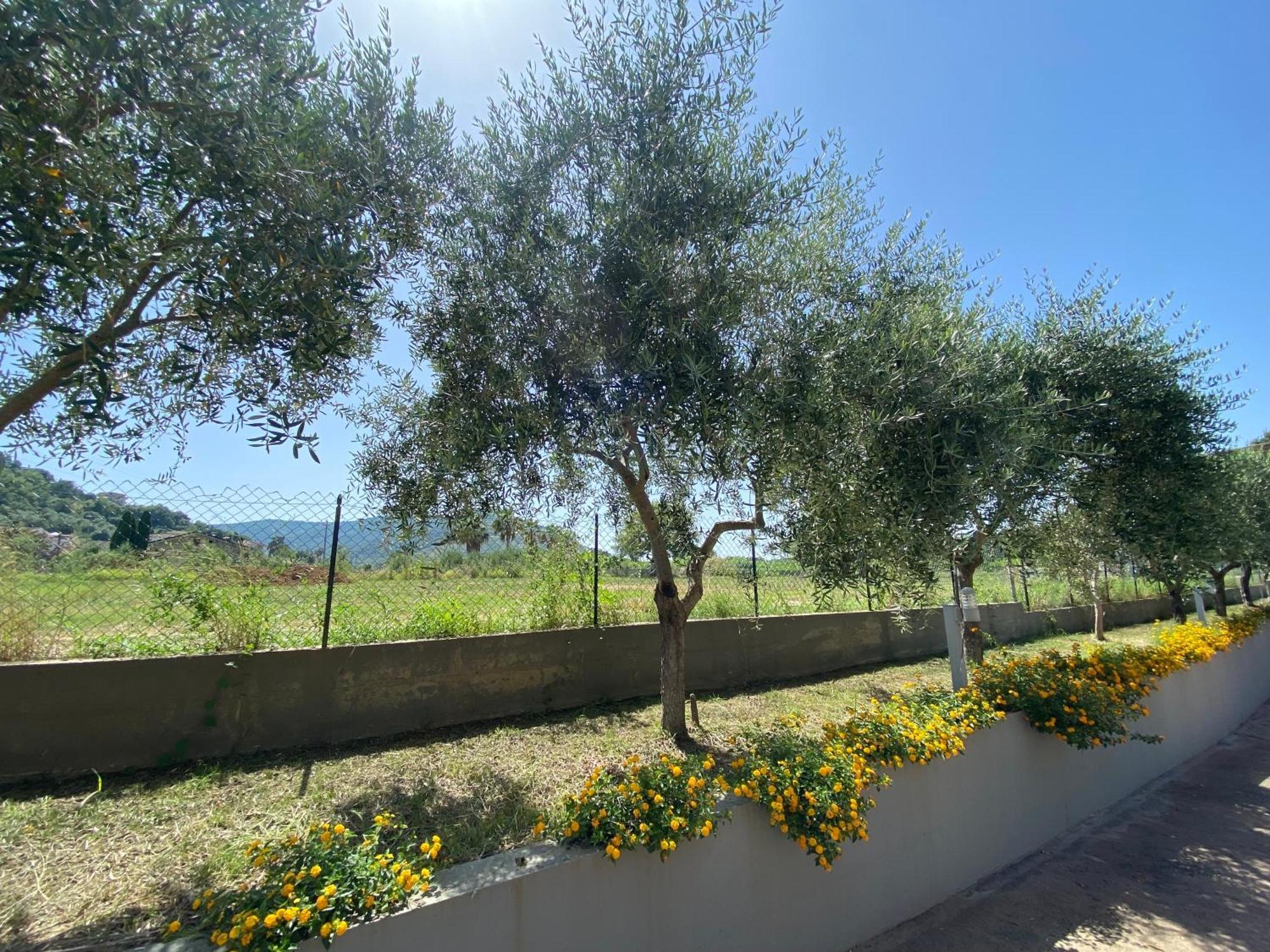 Miro' Agropoli Bed and Breakfast Εξωτερικό φωτογραφία