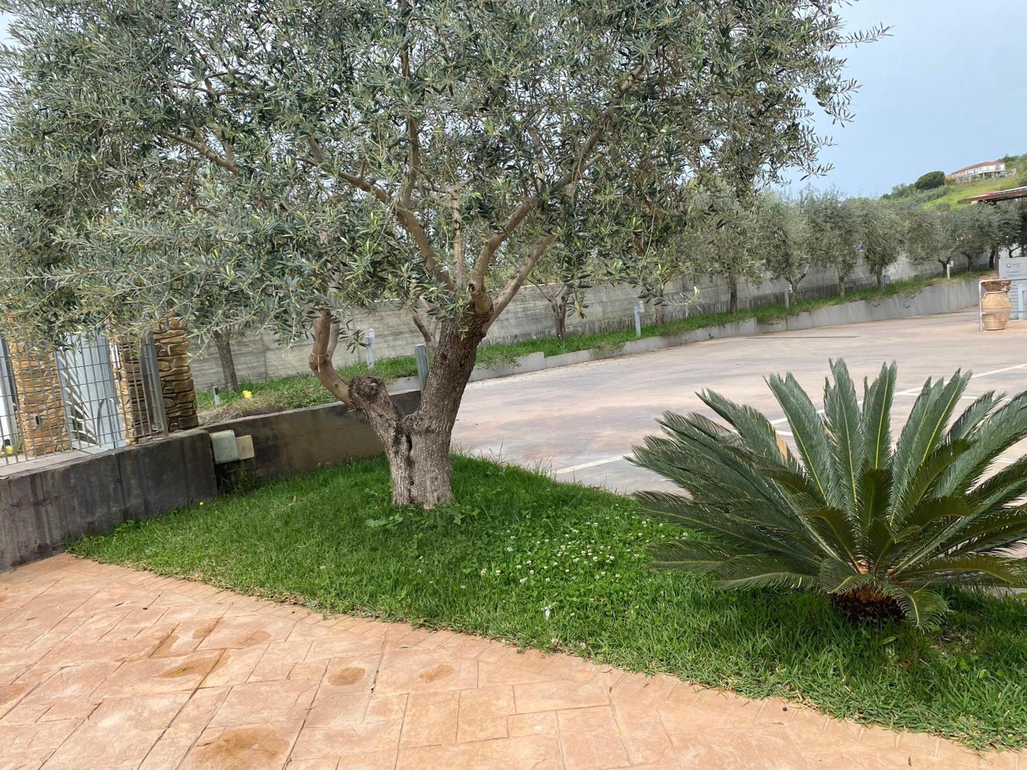 Miro' Agropoli Bed and Breakfast Εξωτερικό φωτογραφία