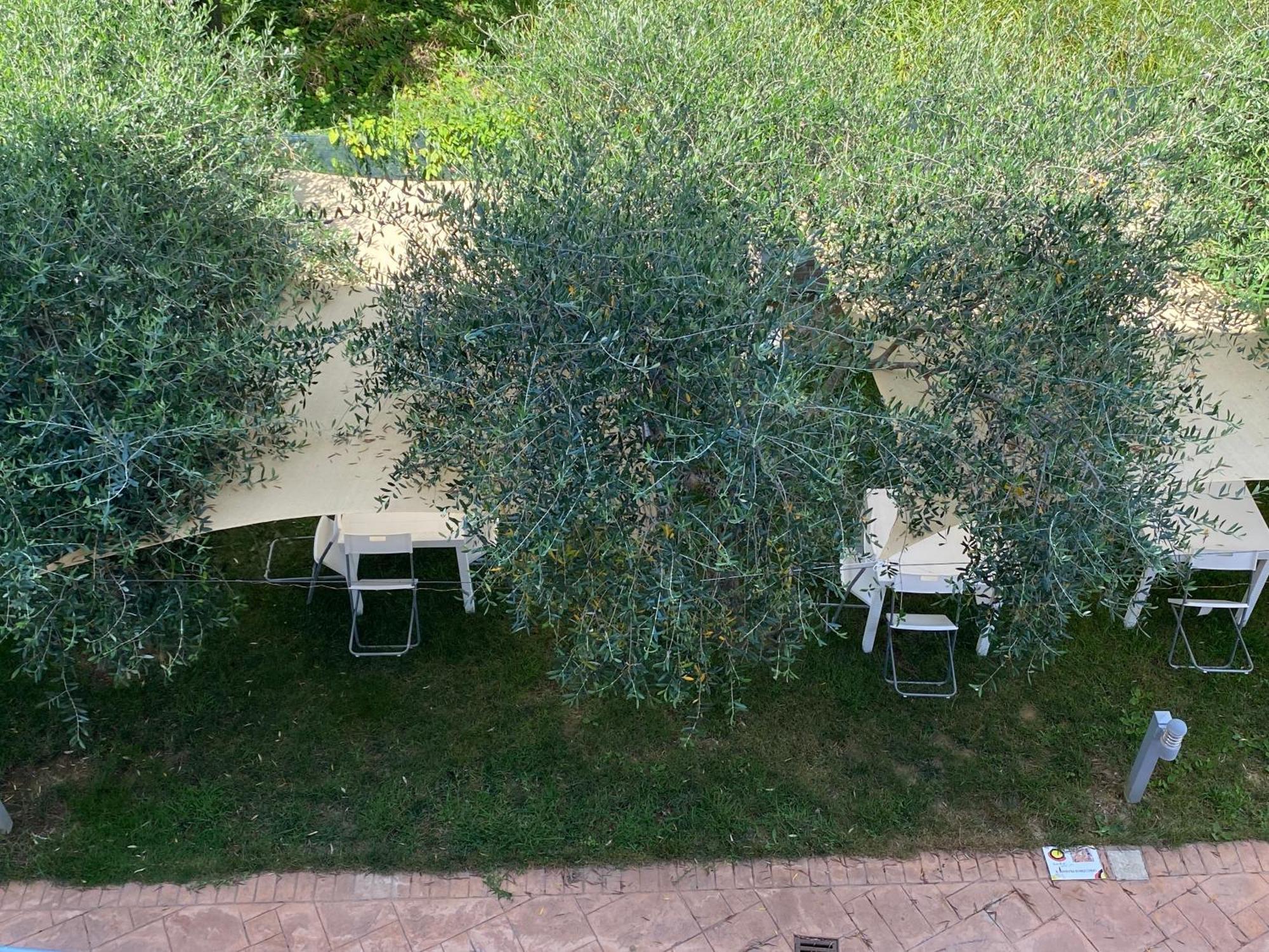 Miro' Agropoli Bed and Breakfast Εξωτερικό φωτογραφία