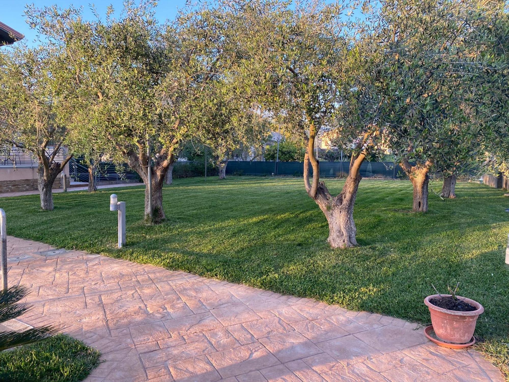Miro' Agropoli Bed and Breakfast Εξωτερικό φωτογραφία